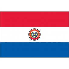 4x6" Hand Held Paraguay Flag