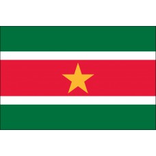 4x6" Hand Held Suriname Flag