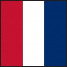 No. 0 "T" Flag - Grommets