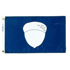 12x18" Nylon Treasurer Flag