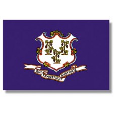 4x6" Hand Held Connecticut Flag